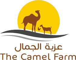 camel-farm-8